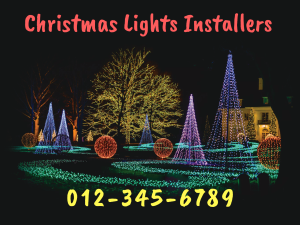 Christmas Lights Installers II